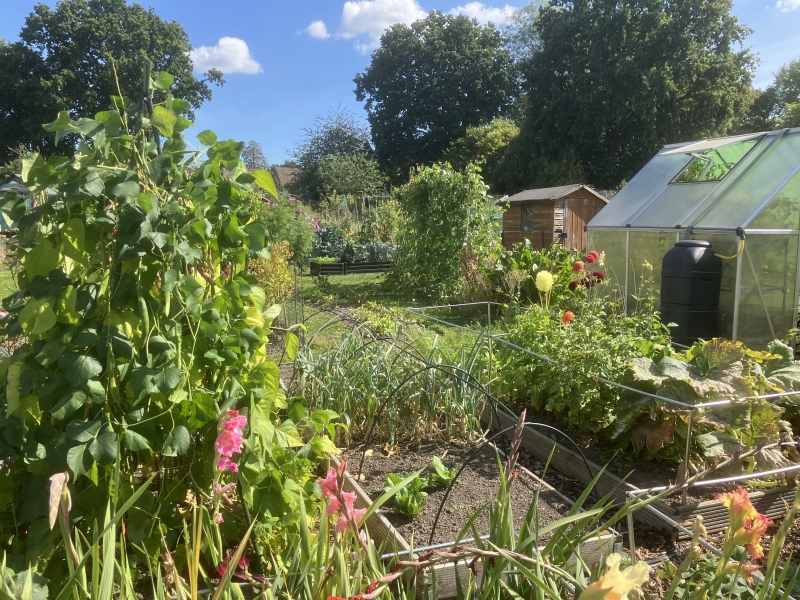 Imberhorne Allotments